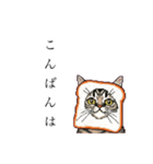 ドットなパン猫のシュールな日常（個別スタンプ：3）