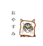 ドットなパン猫のシュールな日常（個別スタンプ：4）