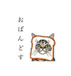 ドットなパン猫のシュールな日常（個別スタンプ：5）