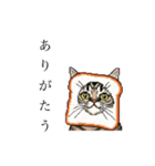 ドットなパン猫のシュールな日常（個別スタンプ：6）