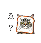 ドットなパン猫のシュールな日常（個別スタンプ：8）