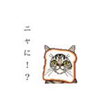 ドットなパン猫のシュールな日常（個別スタンプ：9）
