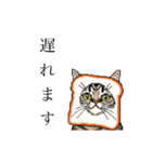 ドットなパン猫のシュールな日常（個別スタンプ：10）