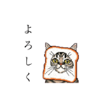 ドットなパン猫のシュールな日常（個別スタンプ：11）