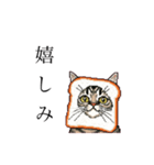 ドットなパン猫のシュールな日常（個別スタンプ：13）