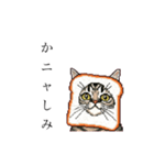 ドットなパン猫のシュールな日常（個別スタンプ：15）