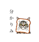 ドットなパン猫のシュールな日常（個別スタンプ：17）