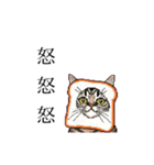 ドットなパン猫のシュールな日常（個別スタンプ：18）