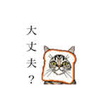 ドットなパン猫のシュールな日常（個別スタンプ：22）