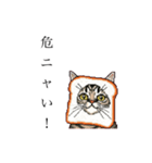 ドットなパン猫のシュールな日常（個別スタンプ：23）