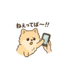 甘え上手なポメちゃん（個別スタンプ：7）