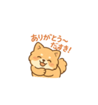 甘え上手なポメちゃん（個別スタンプ：8）
