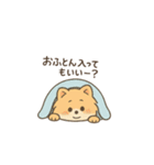 甘え上手なポメちゃん（個別スタンプ：12）