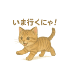 日本猫（和猫）の子猫ちゃんシリーズ2025（個別スタンプ：1）