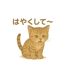 日本猫（和猫）の子猫ちゃんシリーズ2025（個別スタンプ：9）