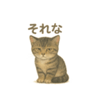 日本猫（和猫）の子猫ちゃんシリーズ2025（個別スタンプ：10）