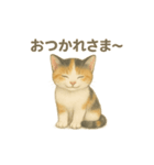 日本猫（和猫）の子猫ちゃんシリーズ2025（個別スタンプ：11）