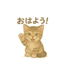 日本猫（和猫）の子猫ちゃんシリーズ2025（個別スタンプ：12）