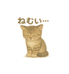 日本猫（和猫）の子猫ちゃんシリーズ2025（個別スタンプ：13）