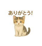 日本猫（和猫）の子猫ちゃんシリーズ2025（個別スタンプ：14）