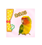 コーギーとコザクラインコのスタンプ（個別スタンプ：2）