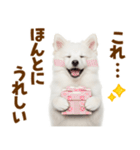 毎日使える！感情ゆたかでかわいいスピッツ（個別スタンプ：6）