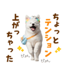 毎日使える！感情ゆたかでかわいいスピッツ（個別スタンプ：9）