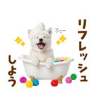 毎日使える！感情ゆたかでかわいいスピッツ（個別スタンプ：21）