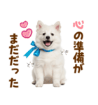 毎日使える！感情ゆたかでかわいいスピッツ（個別スタンプ：27）