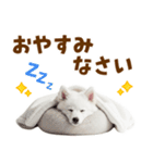 毎日使える！感情ゆたかでかわいいスピッツ（個別スタンプ：40）