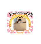 アキホスタンプ（個別スタンプ：8）