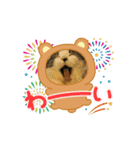 にぼネコ（個別スタンプ：4）