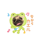 動くパグのもんちゃん 日常版（個別スタンプ：3）
