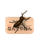 スマホの上のミヤマクワガタ4《関西弁》（個別スタンプ：5）