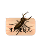 スマホの上のミヤマクワガタ4《関西弁》（個別スタンプ：6）