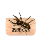 スマホの上のミヤマクワガタ4《関西弁》（個別スタンプ：12）