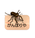 スマホの上のミヤマクワガタ4《関西弁》（個別スタンプ：13）