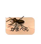 スマホの上のミヤマクワガタ4《関西弁》（個別スタンプ：15）