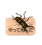 スマホの上のミヤマクワガタ4《関西弁》（個別スタンプ：17）