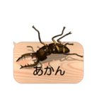 スマホの上のミヤマクワガタ4《関西弁》（個別スタンプ：18）