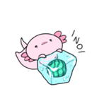 【夏】なんだかゆるいウーパールーパー（個別スタンプ：6）