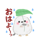 シマエナガさん♡初夏（個別スタンプ：1）