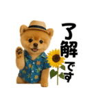 夏に使える♡かわいいポメラニアン（個別スタンプ：1）