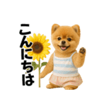 夏に使える♡かわいいポメラニアン（個別スタンプ：4）
