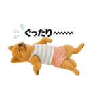 夏に使える♡かわいいポメラニアン（個別スタンプ：7）