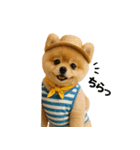 夏に使える♡かわいいポメラニアン（個別スタンプ：11）