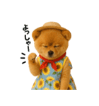夏に使える♡かわいいポメラニアン（個別スタンプ：12）