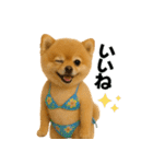 夏に使える♡かわいいポメラニアン（個別スタンプ：14）