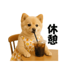 夏に使える♡かわいいポメラニアン（個別スタンプ：16）