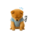 夏に使える♡かわいいポメラニアン（個別スタンプ：39）